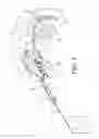 Fig. 04 - Caution flag apparatus