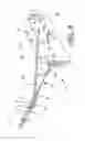 Fig. 07 - Caution flag apparatus