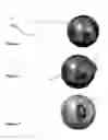 Fig. 06 - Animal Control Device and Method Of Use Thereof