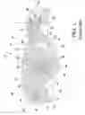 Fig. 02 - Two-step roller finger cam follower