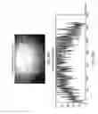 Fig. 131 - Hand-supportable digital image capture and processing system employing visible targeting illumination beam projected from an array of visible light sources on the rear surface of a printed circuit (PC) board having a light transmission aperture, and reflected off multiple folding mirrors and projected through the light transmission aperture into a central portion of the field of view of said system