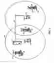Fig. 02 - Redundant radio frequency network having a roaming terminal communication protocol
