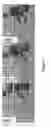 Fig. 08 - Apparatus and methods for optimization of image and motion picture memory access