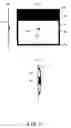 Fig. 02 - Screen-Integrated Speaker