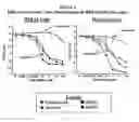 Fig. 02 - Methods for treating sarcoma using 3-(4-amino-1-oxo-1,3-dihydroisoindol-2-yl)-piperidine-2,6-dione or 4-(amino)-2-(2,6 dioxo(3-piperidyl))-isoindoline-1,3-dione