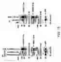 Fig. 02 - Modulation of MUC1 activity