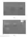 Fig. 02 - Chemically patterned hydrogels, manufacture and use thereof