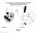 Fig. 05 - Delivery of micro- and nanoparticles with blood platelets