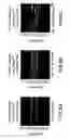 Fig. 07 - Delivery of micro- and nanoparticles with blood platelets