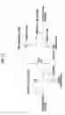 Fig. 12 - Photoelectrochemical cell