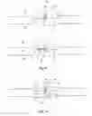 Fig. 02 - Device and Method For Cell Free Analytical and Preparative Protein Synthesis