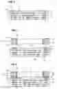 Fig. 03 - Composite substrate and method for manufacturing composite substrate