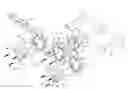 Fig. 01 - Sprocket construction for conveyor rollers