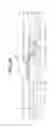 Fig. 07 - Display device