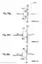 Fig. 35 - Digital circuit having correcting circuit and electronic apparatus thereof