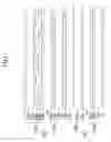Fig. 06 - Display Device Comprising Multiple Display Panel Assemblies