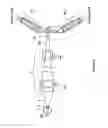 Fig. 07 - Choroid and retinal imaging and treatment system