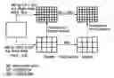 Fig. 01 - Coding and decoding method and device