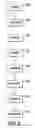 Fig. 03 - Signaling of multiple decoding times in media files