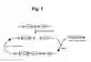 Fig. 02 - Methods and compositions involving polymeric immunoglobulin fusion proteins