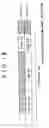 Fig. 19 - RECORDING MEDIUM, RECORDING APPARATUS AND RECORDING METHOD