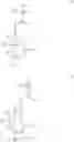 Fig. 02 - POSITIVE WORKING PHOTOSENSITIVE COMPOSITION AND PATTERN FORMING METHOD USING THE SAME