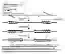 Fig. 01 - Recombinase polymerase amplification
