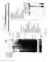 Fig. 20 - Recombinase polymerase amplification
