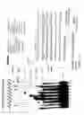 Fig. 23 - Recombinase polymerase amplification