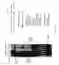 Fig. 28 - Recombinase polymerase amplification