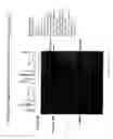 Fig. 30 - Recombinase polymerase amplification