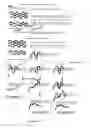 Fig. 34 - Recombinase polymerase amplification