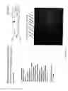 Fig. 35 - Recombinase polymerase amplification