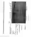 Fig. 41 - Recombinase polymerase amplification