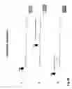 Fig. 55 - Recombinase polymerase amplification