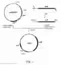 Fig. 02 - Process for production of succinic acid