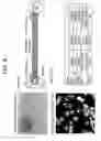 Fig. 05 - Textiles for use in bioreactors for expansion and maintenance of cells