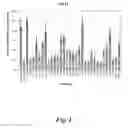 Fig. 02 - NUCLEIC ACID COMPOUNDS FOR INHIBITING AKT GENE EXPRESSION AND USES THEREOF