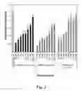 Fig. 03 - NUCLEIC ACID COMPOUNDS FOR INHIBITING AKT GENE EXPRESSION AND USES THEREOF