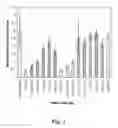 Fig. 04 - NUCLEIC ACID COMPOUNDS FOR INHIBITING AKT GENE EXPRESSION AND USES THEREOF