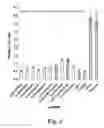 Fig. 05 - NUCLEIC ACID COMPOUNDS FOR INHIBITING AKT GENE EXPRESSION AND USES THEREOF