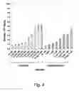 Fig. 07 - NUCLEIC ACID COMPOUNDS FOR INHIBITING AKT GENE EXPRESSION AND USES THEREOF