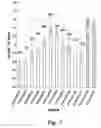 Fig. 08 - NUCLEIC ACID COMPOUNDS FOR INHIBITING AKT GENE EXPRESSION AND USES THEREOF