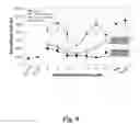 Fig. 10 - NUCLEIC ACID COMPOUNDS FOR INHIBITING AKT GENE EXPRESSION AND USES THEREOF