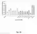 Fig. 11 - NUCLEIC ACID COMPOUNDS FOR INHIBITING AKT GENE EXPRESSION AND USES THEREOF