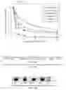 Fig. 08 - Multiple shRNA Expression Vectors and Methods of Construction