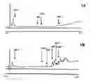 Fig. 01 - Assays for preimplantation factor and preimplantation factor peptides