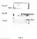 Fig. 03 - Assays for preimplantation factor and preimplantation factor peptides