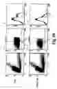 Fig. 05 - Assays for preimplantation factor and preimplantation factor peptides