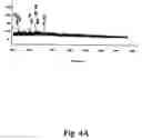 Fig. 06 - Assays for preimplantation factor and preimplantation factor peptides